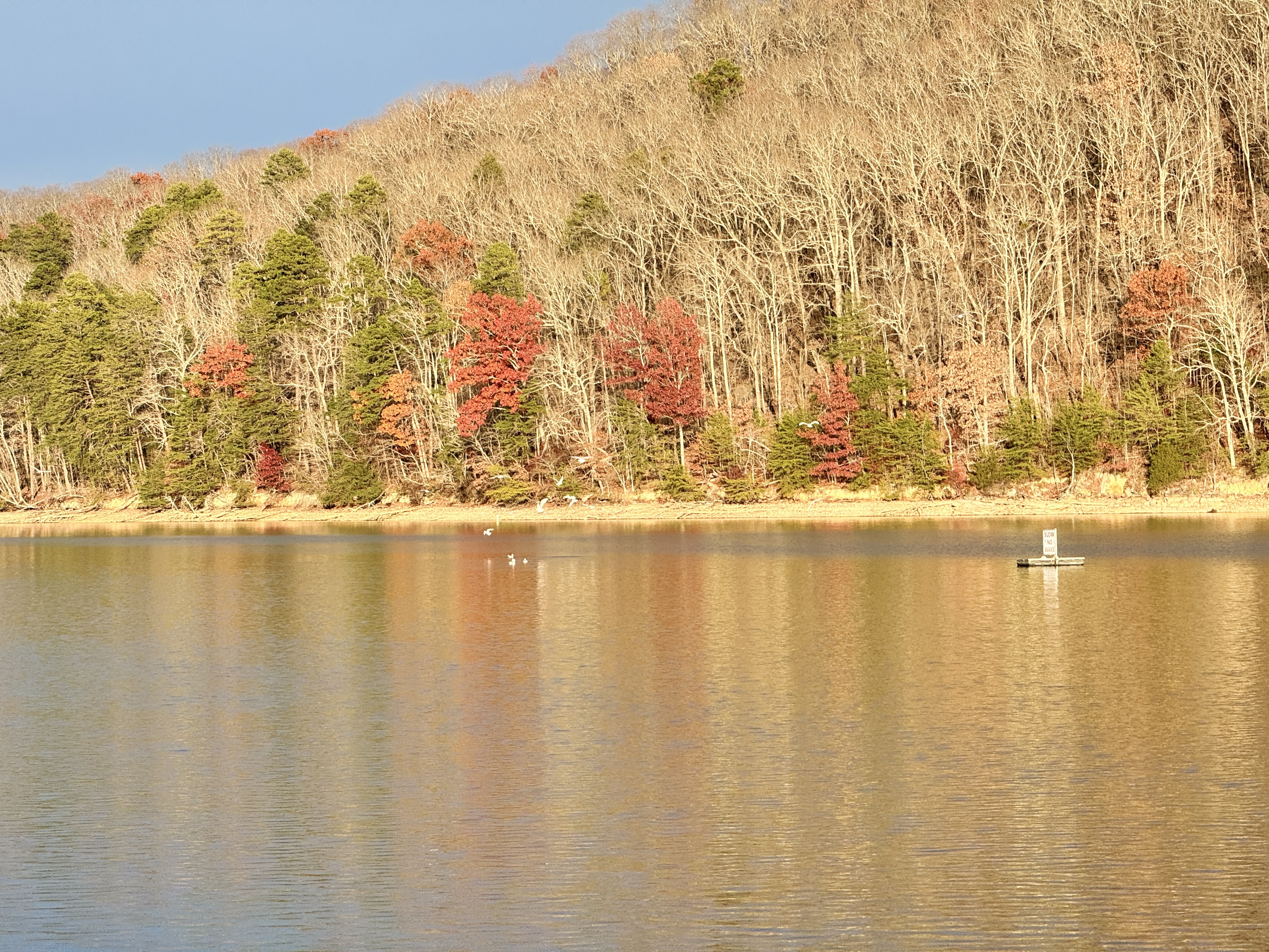 Fall foliage reflected in a mountain lake