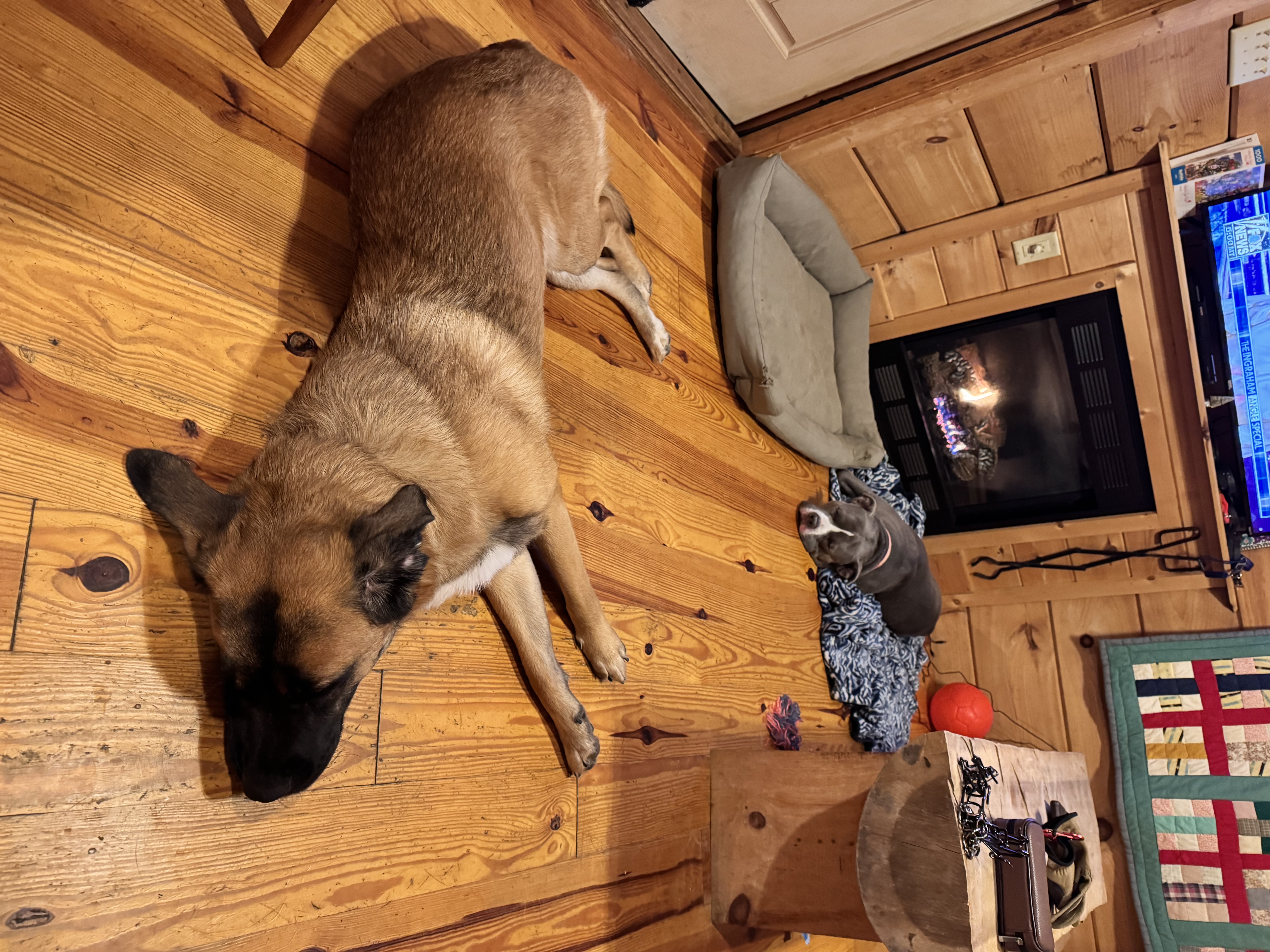 Narah and Jax relaxing by the fireplace in a cozy cabin