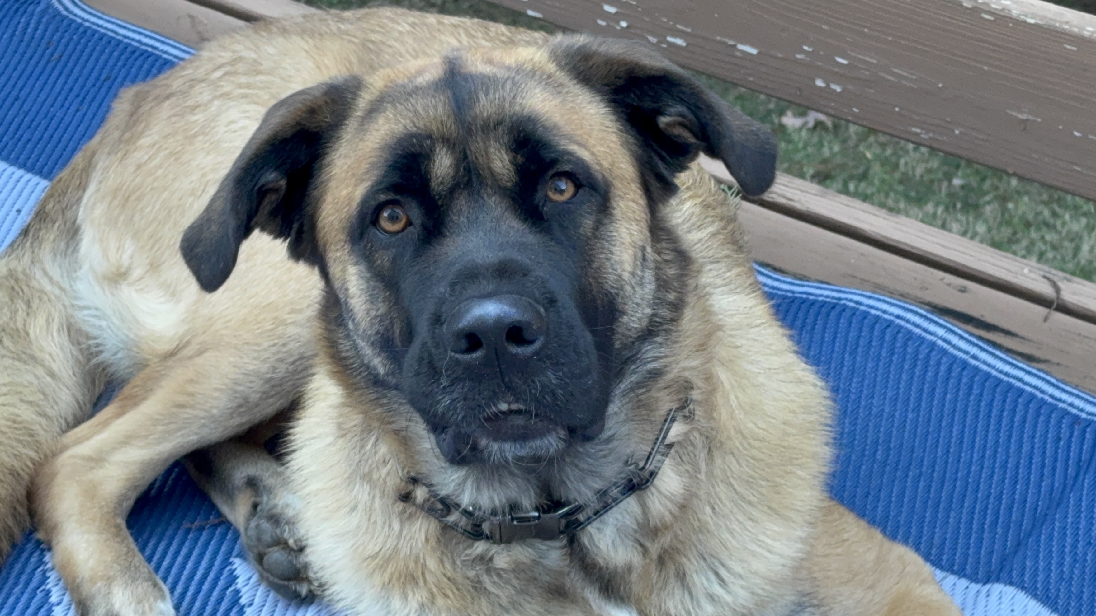 Narah on the back deck